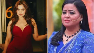 आयशा खान की बॉडी शेमिंग करने पर भारती से नाराज हुए फैंस / फोटो- Instagram