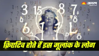 इस मूलांक को करिय में मिलती है पहचान (Picture Credit: Freepik)
