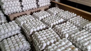 दुकान में लगे अंडे