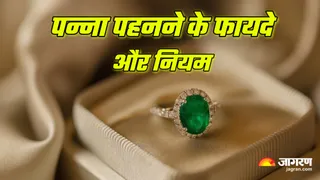 Panna Rules & Precautions (Picture Credit: Freepik)