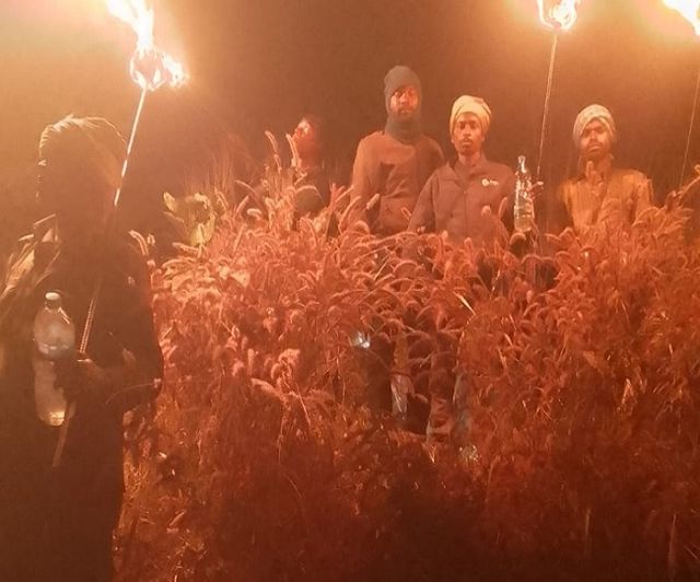 Ramgarh कोयलांचल में हाथियों के आतंक से सीसीएल का उत्पादन प्रभावित, छह की जा चुकी है जान
