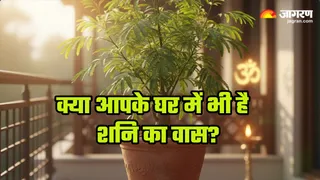 Vastu Tips: इस पौधे से दूर होगा शनि दोष (AI-generated image)