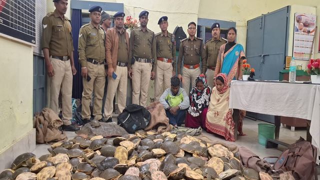 फरक्का एक्सप्रेस से हजार कछुए बरामद, यूपी के तीन तस्कर RPF के हत्थे चढ़े
