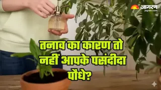 Vastu Tips: घर में ना लगाएं ये पौधे (AI-generated image)