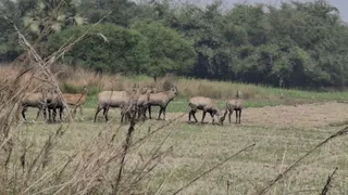 किसानों ने की मुआवजे की मांग