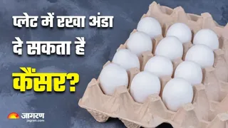 अंडों पर किए गए दावों में कितनी है सच्चाई?
