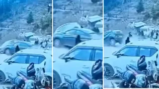 कुल्लू के तोष में पार्किंग में खड़ी कार अनियंत्रित हो गई व दो वाहन खाई में गिरे। जागरण