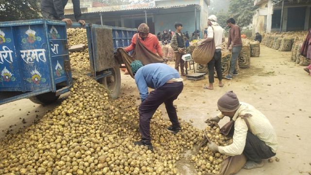 फर्रुखाबाद में किसान बोले- आलू का लागत मूल्य भी नहीं निकल रहा, कोल्ड स्टोरेड मालिकों की बढ़ी चिंता
