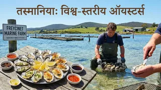 तस्मानिया के ऑयस्टर्स का कोई जवाब नहीं (Image Source: AI-Generated)
