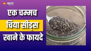 चिया सीड्स खाने से शरीर में कैसे बदलाव होंगे? (Picture Courtesy: Freepik)