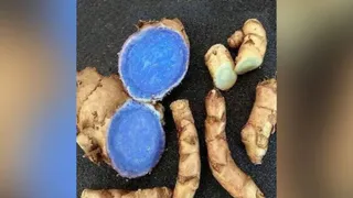 नीली/काली हल्दी। फाइल फोटो
