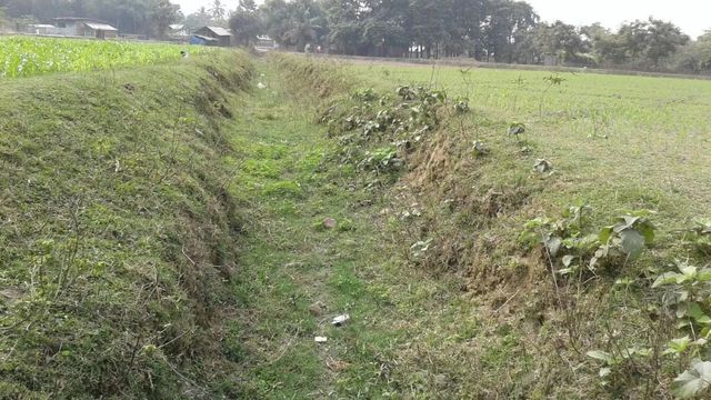 पिछली परियोजनाओं की सीख पर टिका है कोसी-मेची की कामयाबी का भविष्य