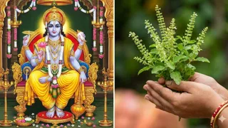 Paush Putrada Ekadashi 2025: तुलसी मंजरी के उपाय से चमकेगी किस्मत (Image Source: AI-Generated)