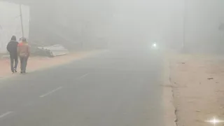 बिहार में ठंड का प्रकोप। फाइल फोटो