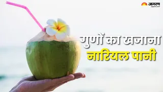 नारियल पानी: गर्मियों में सेहत का खजाना, जानें रोजाना पीने के फायदे (Picture Credit- Freepik)