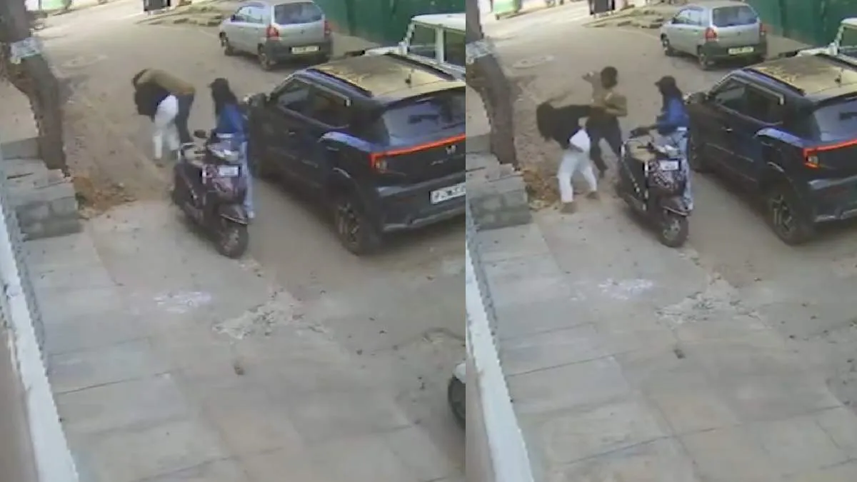 पर्स छीना, थप्पड़ मारे और सड़क पर घसीटा... संबंध बनाने से इनकार पर युवक ने महिला को सरेआम पीटा