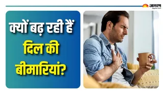 क्या हैं दिल की बीमारियों के कारण? (Picture Courtesy: Freepik)