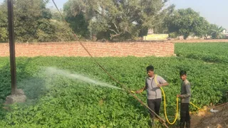 सांकेतिक तस्वीर।