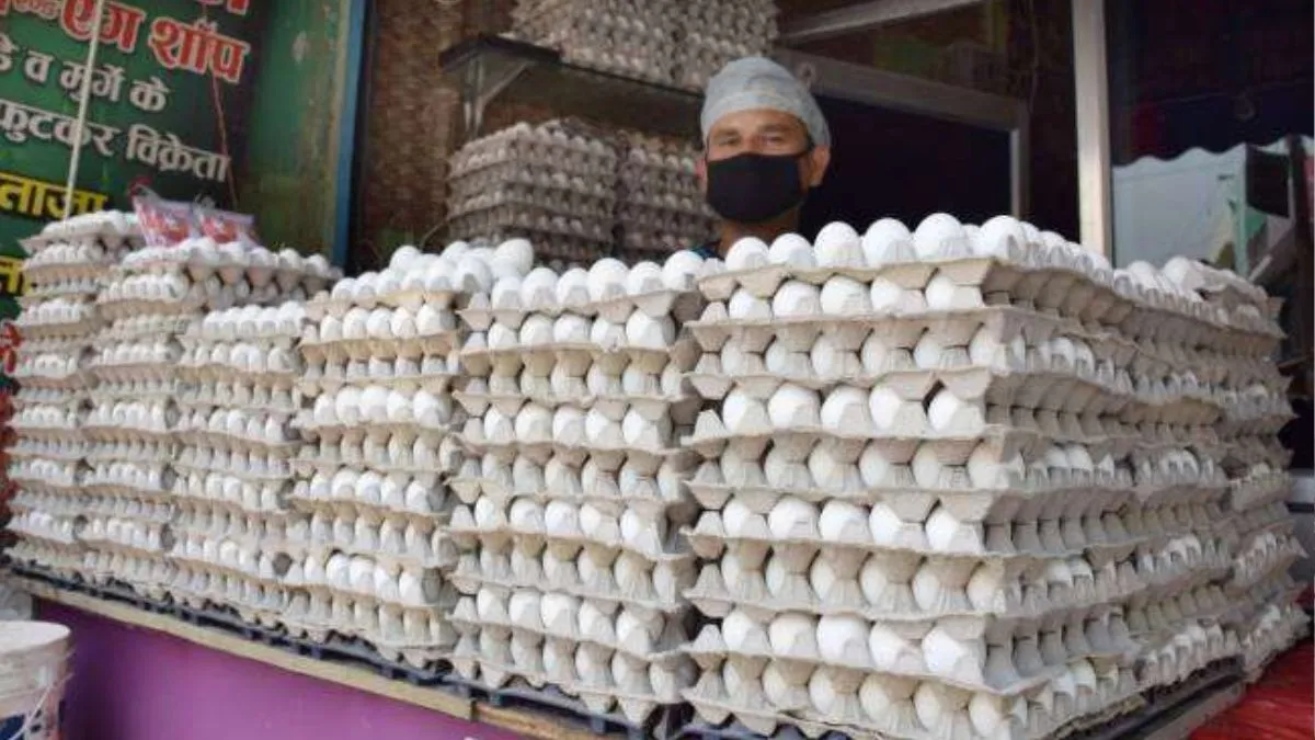 https://www.jagranimages.com/images/2025/12/24/article/image/egg--1766568491979.jpg