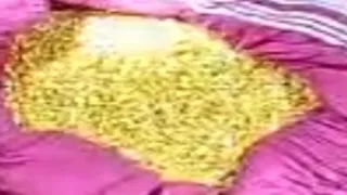 शातिरों के पास से बरामद नकली सोना । जागरण