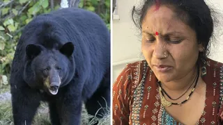 भालू के हमले में घायल महिला रचना देवी। जागरण