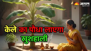 केले का पौधा क्यों है शुभ? (Image Source: AI-Generated)
