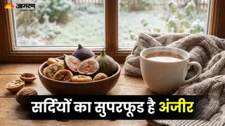 सर्दियों में अंजीर खाने के फायदे (Picture Credit- AI Generated)