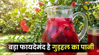 गुड़हल का पानी पीने के अद्भुत फायदे (Picture Credit- AI Generated)