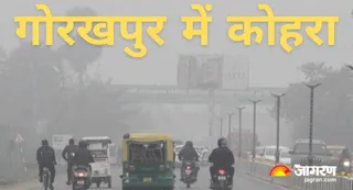 कोहरे की चादर से ढकी सड़क पर जाते वाहन। जागरण