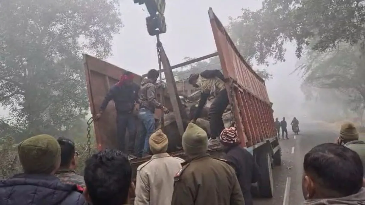 चित्रकूट में सड़क किनारे खड़े डंपर से भिड़ी डीसीएम, 18 भैंसों की मौत; चालक बाल-बाल बचा