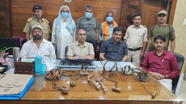 झारखंड में वन्यजीवों की तस्करी का इंटरनेशनल नेटवर्क ध्वस्त, नक्सल प्रभाव कम होने पर मिली कामयाबी 
