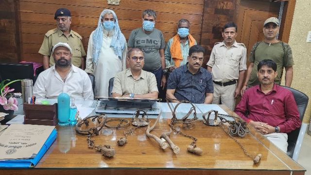 पलामू टाइगर रिजर्व में अंतरराष्ट्रीय तस्करी नेटवर्क ध्वस्त, 80 करोड़ का सांप का जहर जब्त; 20 से अधिक गिरफ्तार
