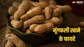 सेहत का खजाना है मूंगफली, डाइट में जरूर करें शामिल (Picture Credit - Canva)