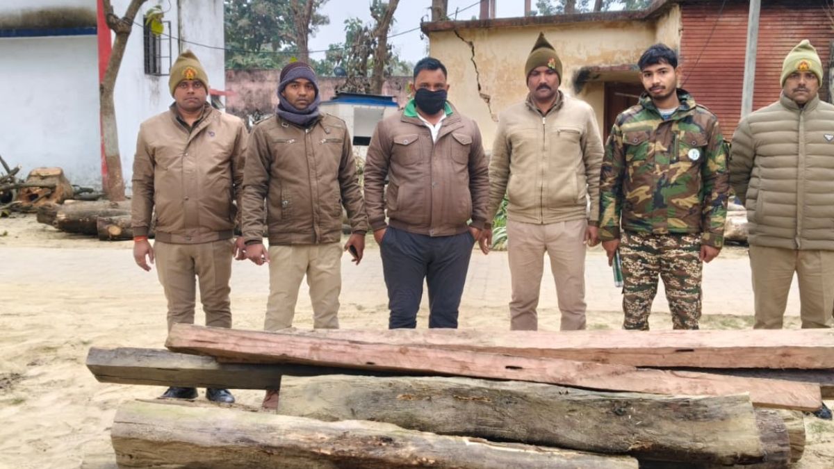 श्रावस्ती में जंगल से चोरी की गई बेशकीमती लकड़ी के 11 बोटे बरामद, एक आरोपी गिरफ्तार