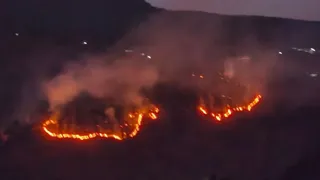 उडखोला के जंगल में लगी आग। जागरण