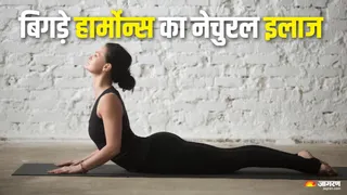 हार्मोनल असंतुलन से पाएं छुटकारा, इन योगासनों से करें प्राकृतिक उपचार (Picture Credit- Freepik)