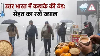 दिल्ली में ठंड और कोहरे का प्रकोप (Picture Courtesy: AI Generated Image)