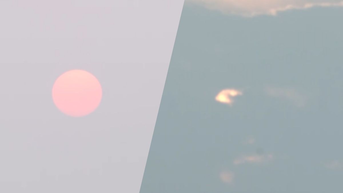 News Article Hero Image