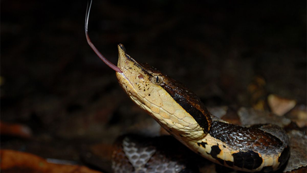 News Article Hero Image