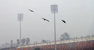 हल्द्वानी रेलवे स्टेशन के समीप आसपास उड़ते पक्षी। जागरण