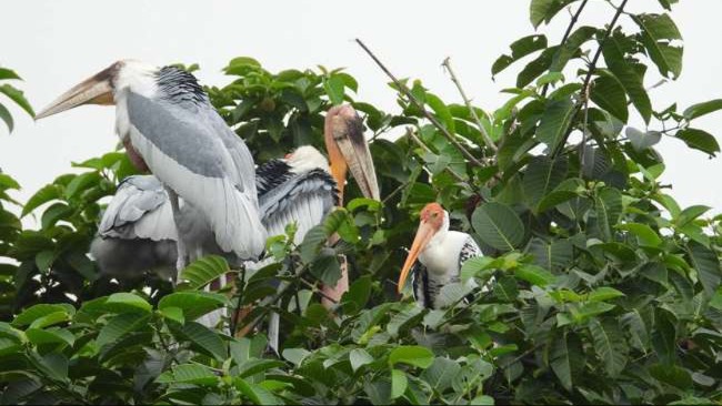 News Article Hero Image