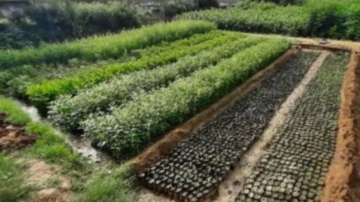 News Article Hero Image