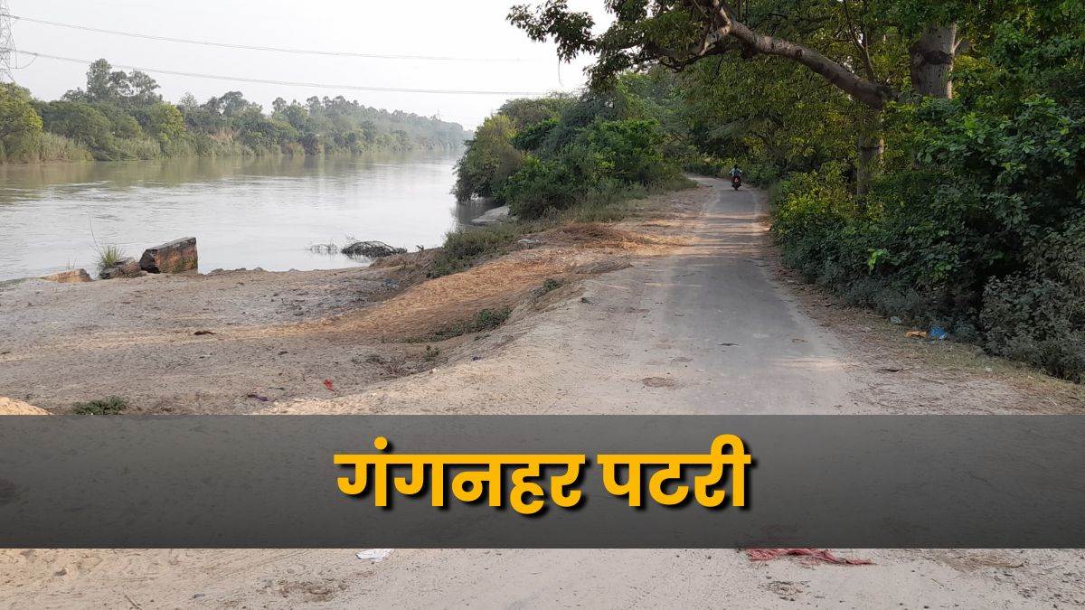 News Article Hero Image