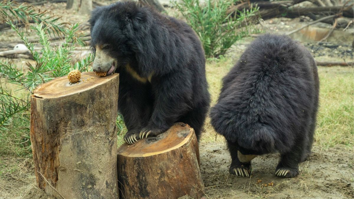 News Article Hero Image