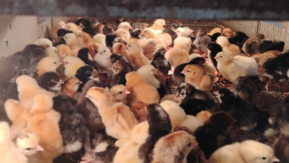 News Article Hero Image