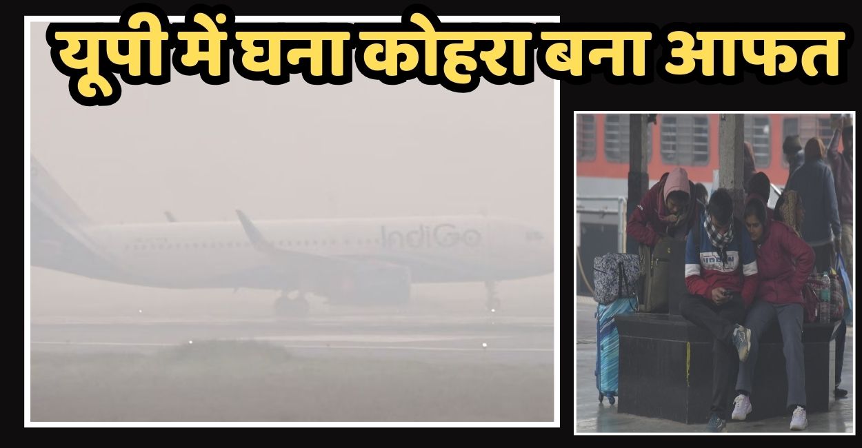 News Article Hero Image