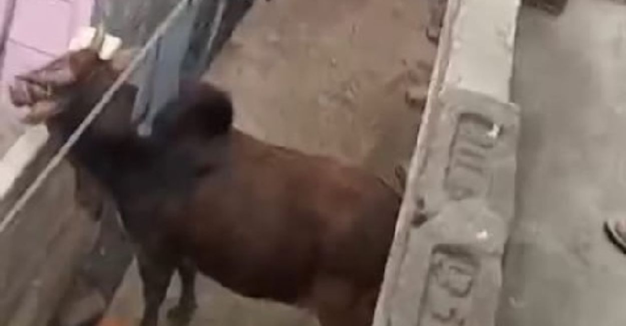 News Article Hero Image