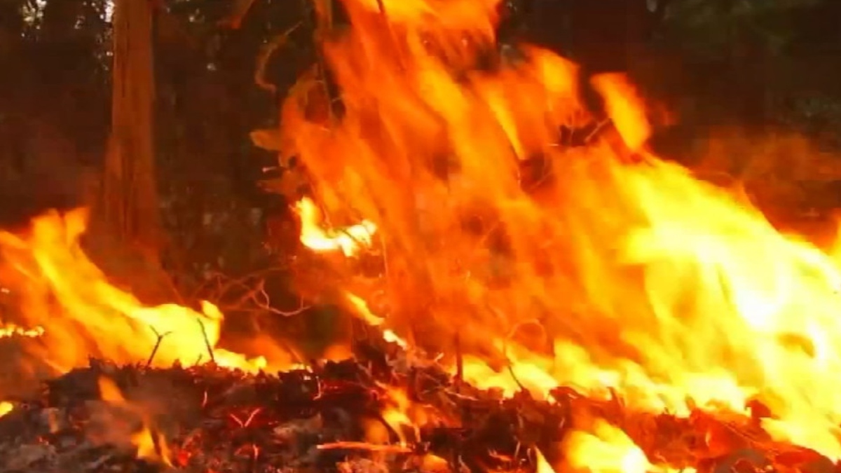 News Article Hero Image