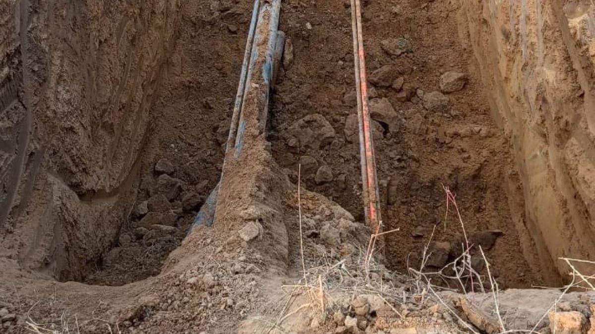 News Article Hero Image