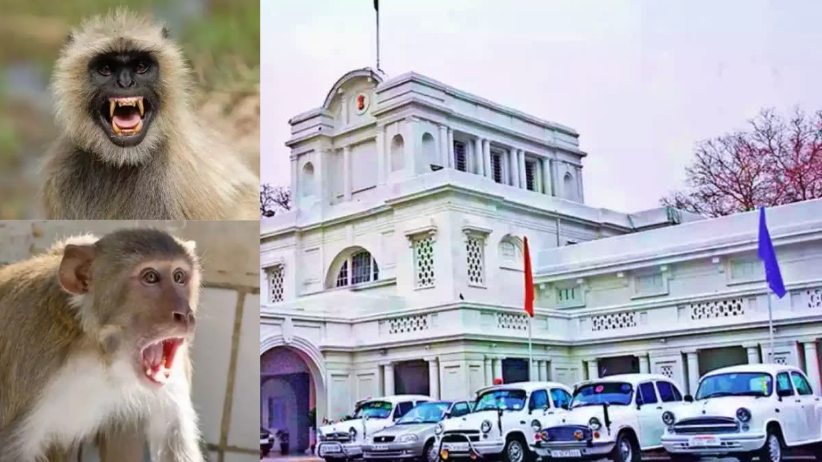 News Article Hero Image